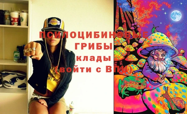 молекула духа Арсеньев