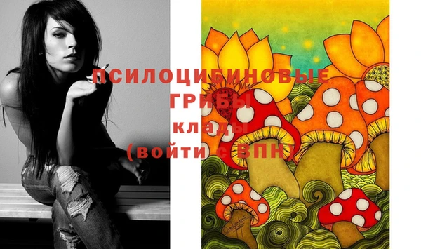 молекула духа Арсеньев