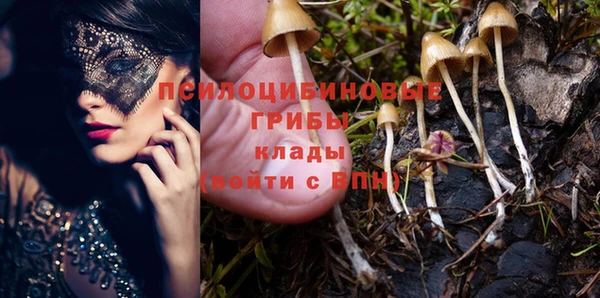 молекула духа Арсеньев