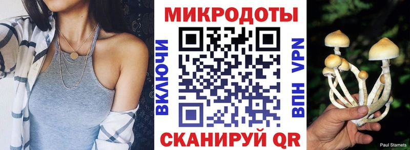 купить наркотики сайты  mega онион  Галлюциногенные грибы MAGIC MUSHROOMS  Белокуриха 
